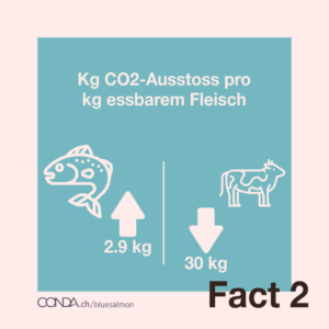 Swiss Blue Salmon - Crowdinvesting-Kampagne auf conda.ch