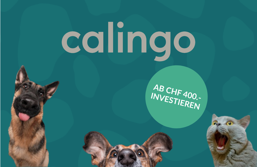 Crowdinvesting Kampagne von Calingo auf conda.ch
