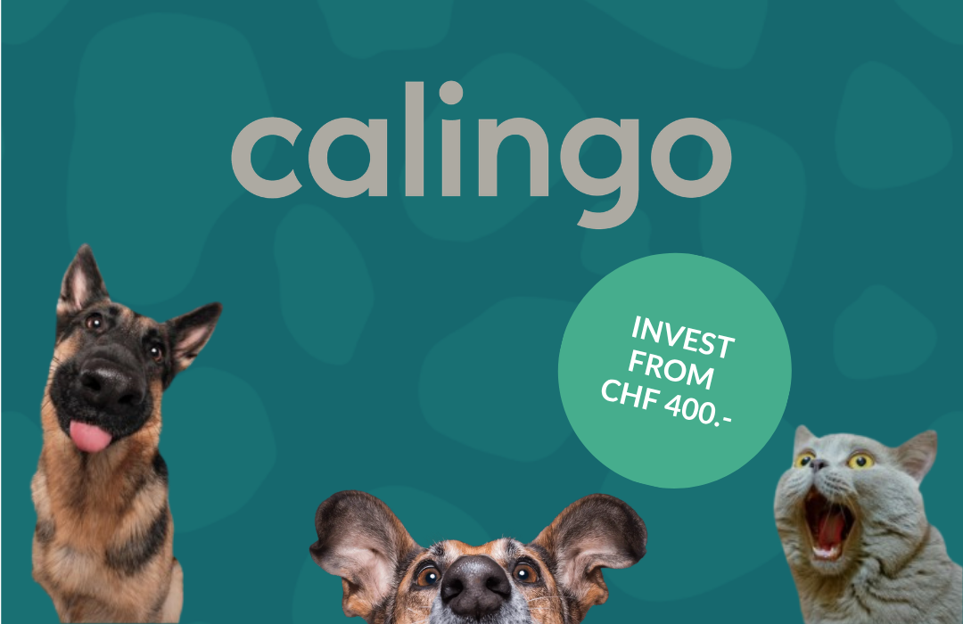 Crowdinvesting campaign of Calingo on CONDA.ch